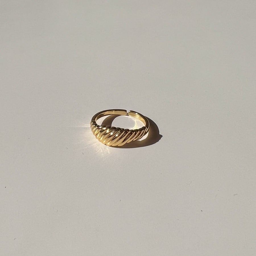Nicole Ring