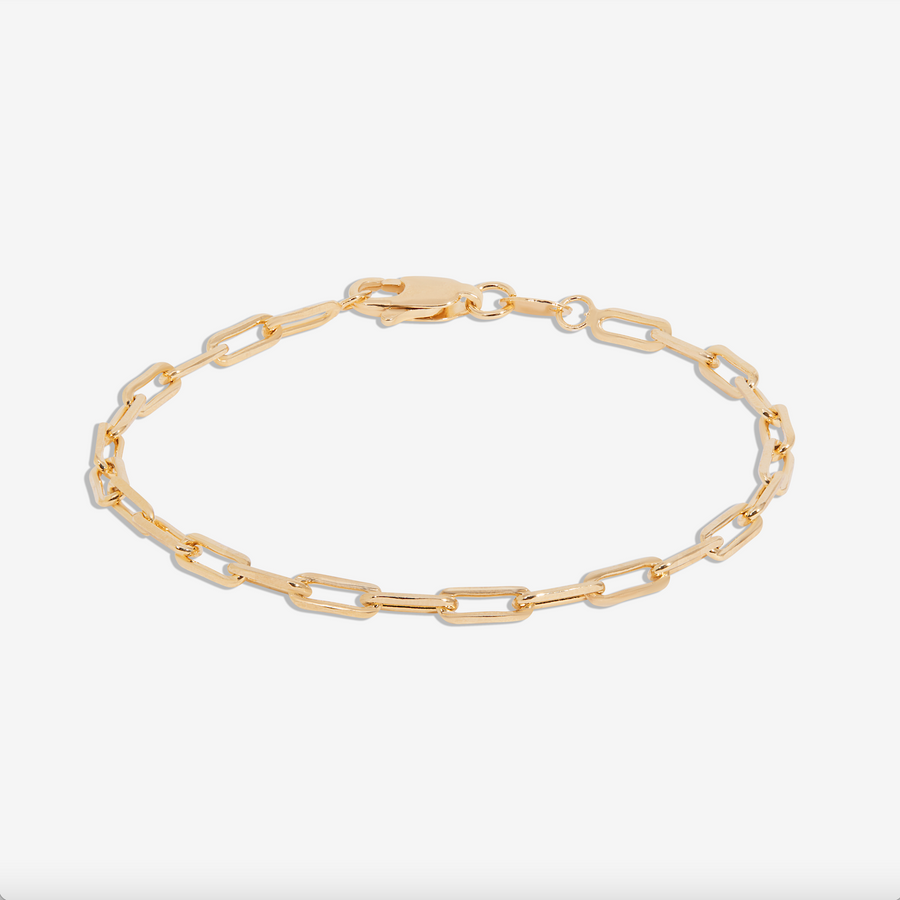 Paperclip Bracelet