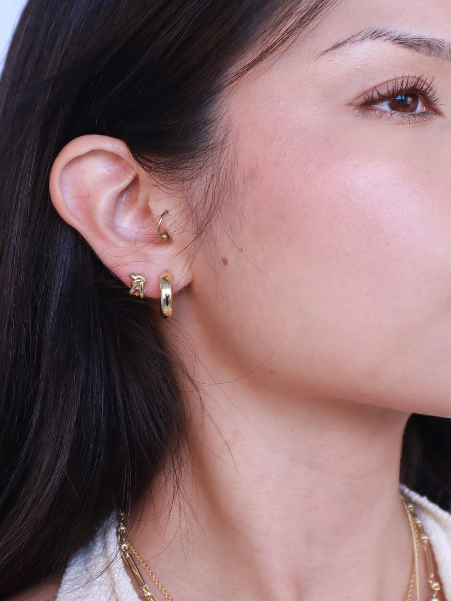 Delaine Hoops